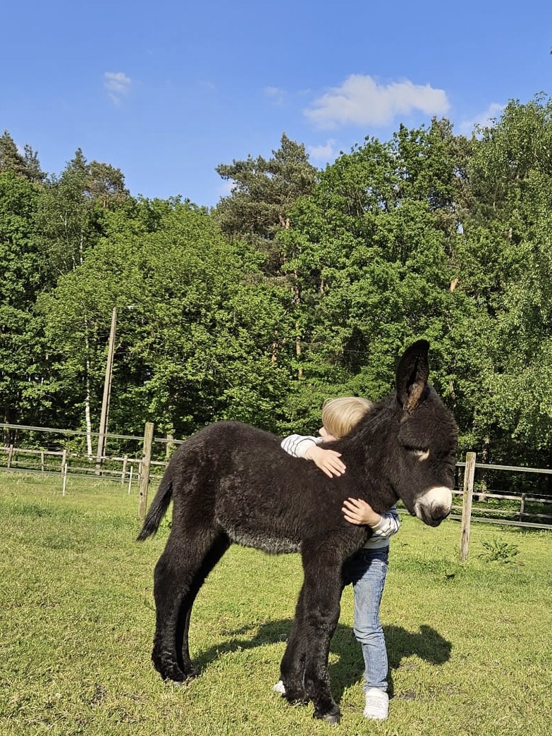 Asinotherapie Limburg