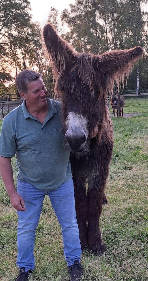 therapie met dieren zutendaal