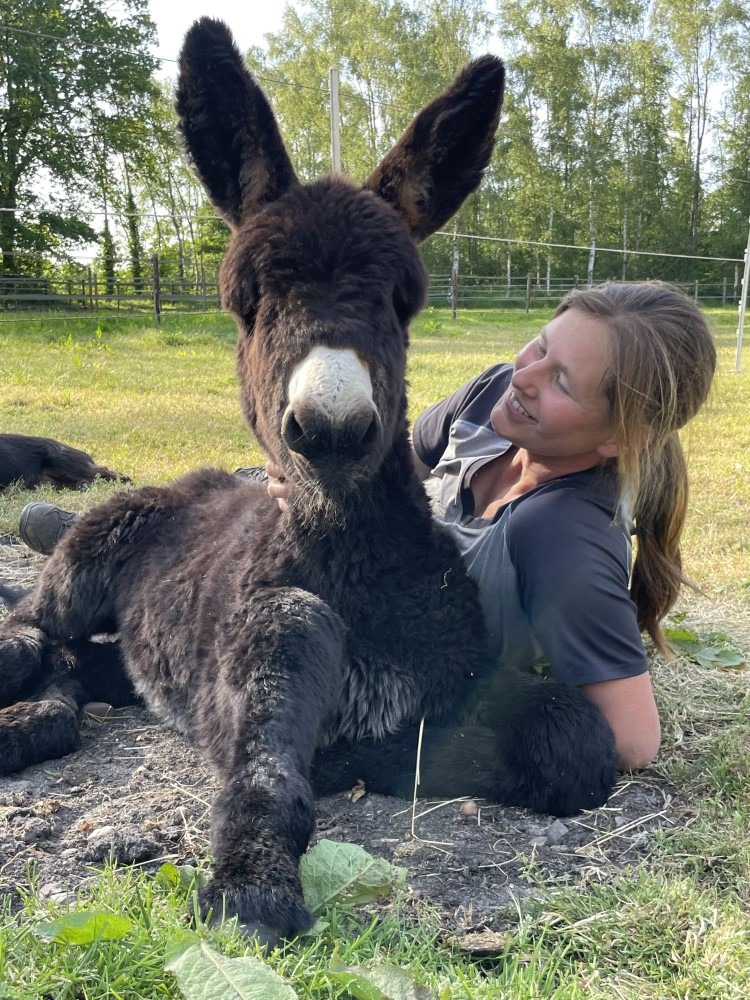 therapie met dieren limburg